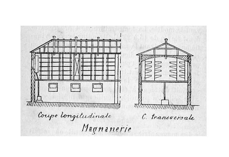 Plan d'une magnanerie