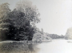 photographie du parc du chateau de serrant en 1888