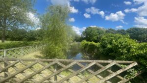 La mare des jardins de l'abbaye