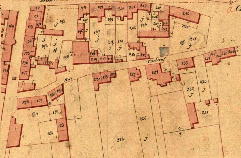 détail du cadastre napoléonien du bourg