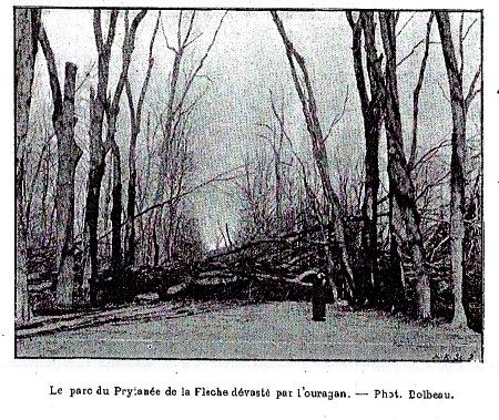 photographie du parc de la flêche dévasté par la tempête de 1900